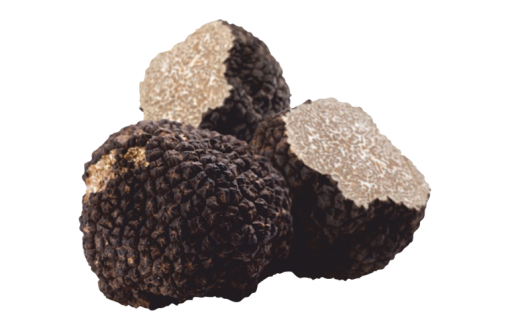 Tartufo Nero Estivo