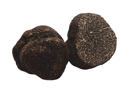 Tartufo Nero Pregiato