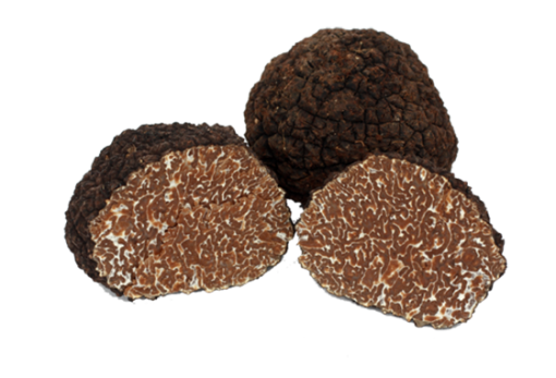 Tartufo Uncinato