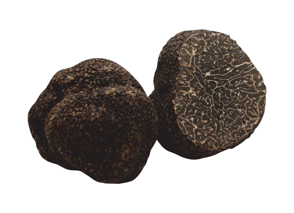 Tartufo Nero Pregiato