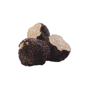 TARTUFI FRESCHI